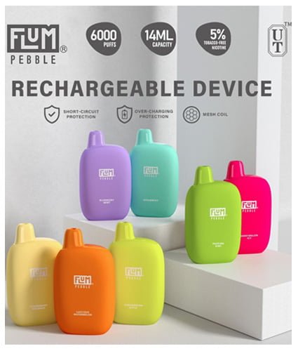 FLUM PEBBLE 5% NICOTINE RECHARGEABLE DISPOSABLE 14ML 6000 PUFFS